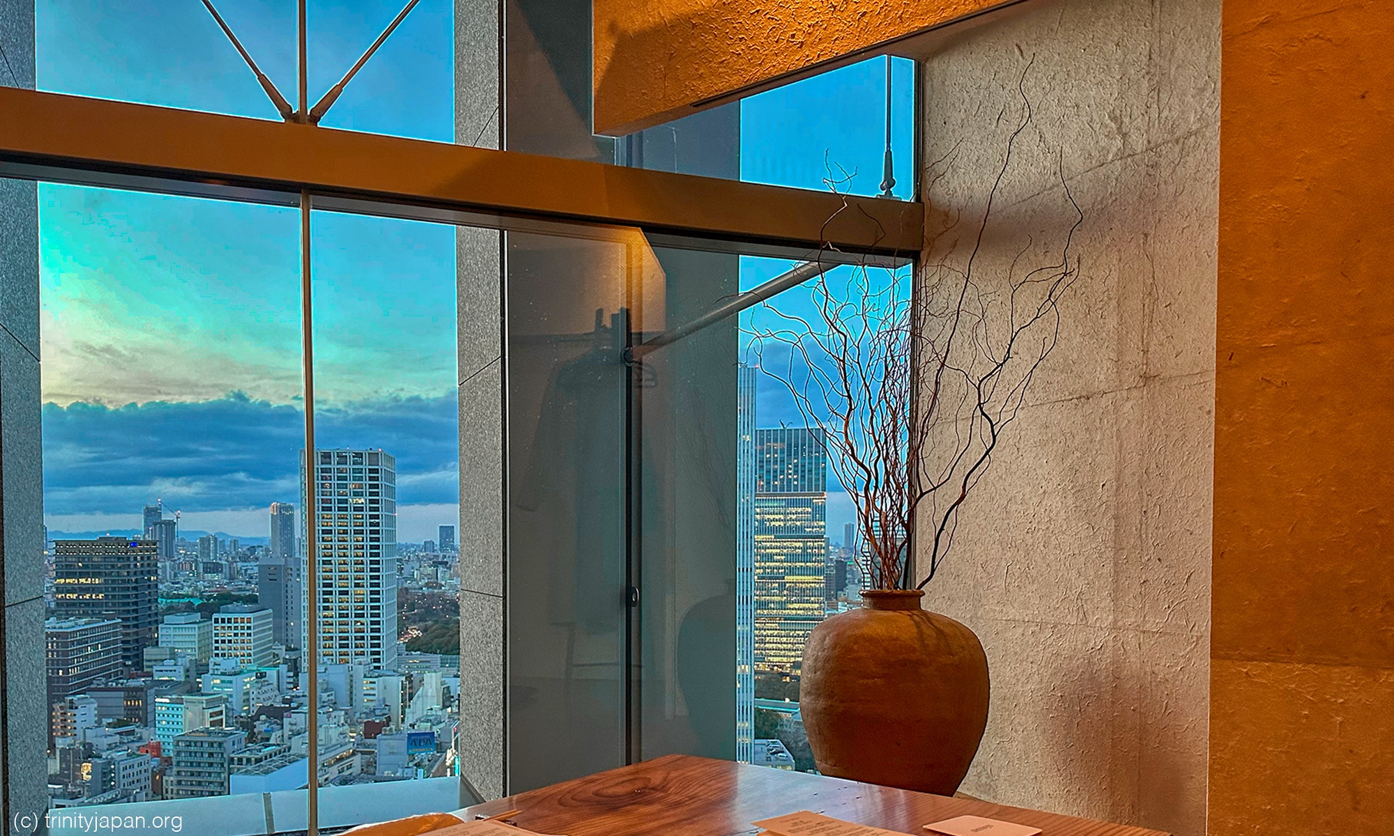 トリニティージャパン（ケンブリッジ大学)